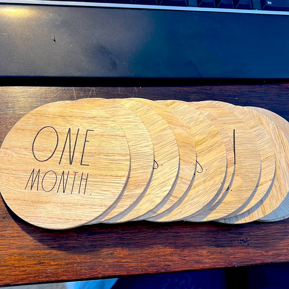 Rae dunn monthly milestone photo discs 1-11